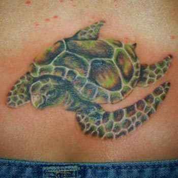 Meilleurs dessins de tatouage tortue - NOTRE TOP 10 Photo