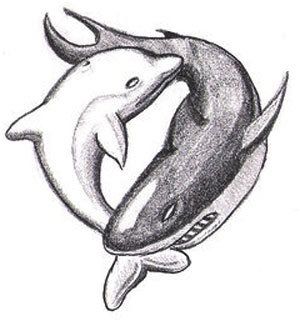 requin yin yang tatouage