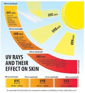 Les rayons UV et leur effet sur la peau