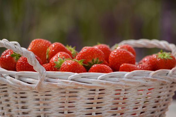 fraises avantages pour la santé