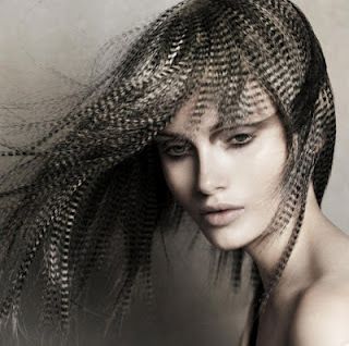 Conseils pour les extensions de cheveux en plumes !!! Photo