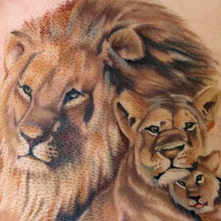 The Pride Tattoo Lion