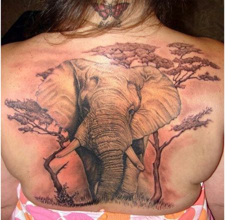 dos d'éléphant tatouage