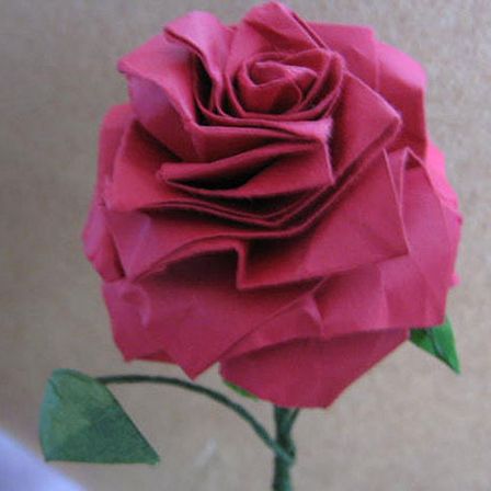 roses roses des assiettes en papier