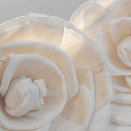 petites roses en papier blanches