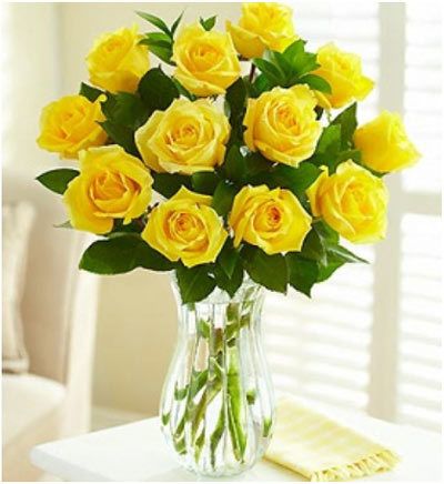 longue tige roses jaunes