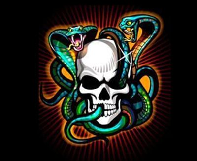 serpents et tatouage de crâne