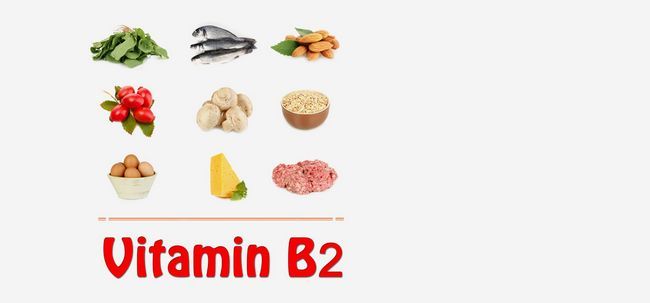 Top 10 b2 aliments riches en vitamines vous devriez inclure dans votre alimentation Photo