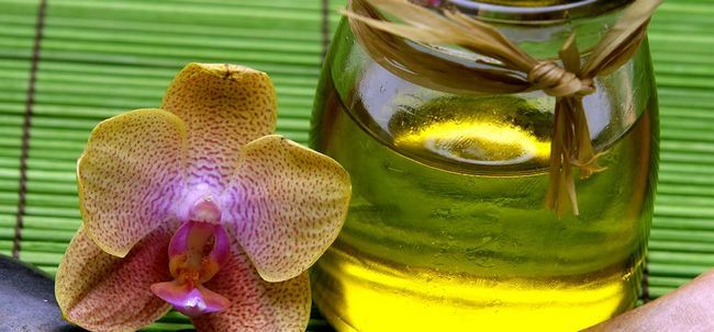 Top 12 avantages de l'huile de bois de santal pour la peau, les cheveux et la santé Photo