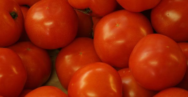 tomates avantages et effets secondaires