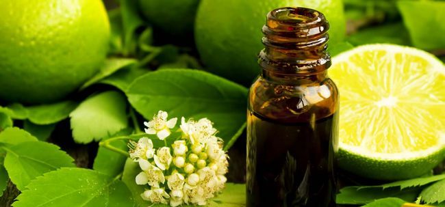 10 avantages et les utilisations de l'huile essentielle de citron vert étonnants Photo