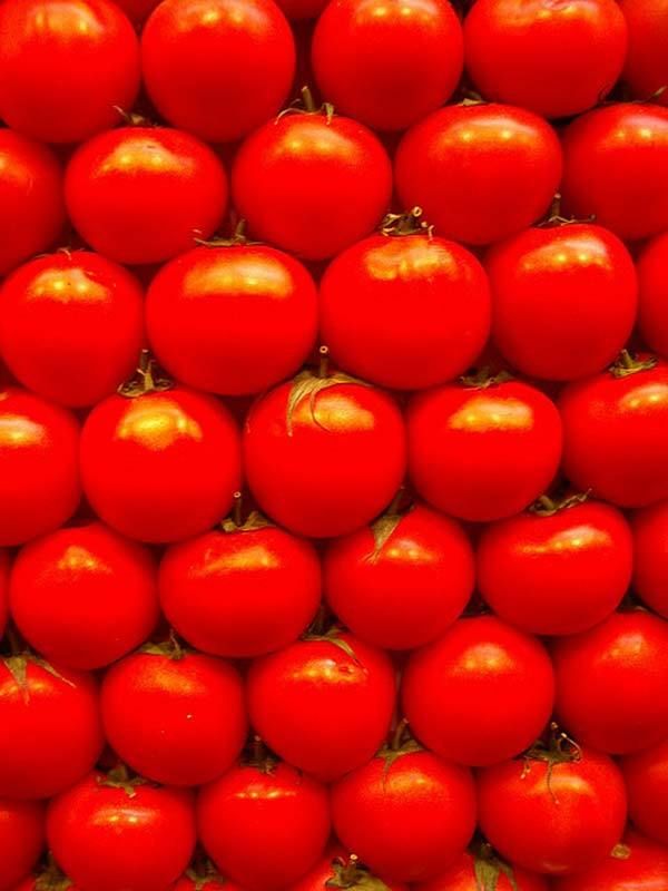 les tomates pour les soins de la peau grasse