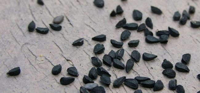 8 avantages étonnants de nigelle / graines de cumin noir pour la peau, les cheveux et la santé Photo