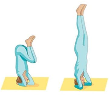 l'exercice de yoga