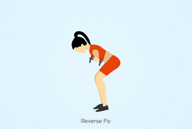 Inverse Fly