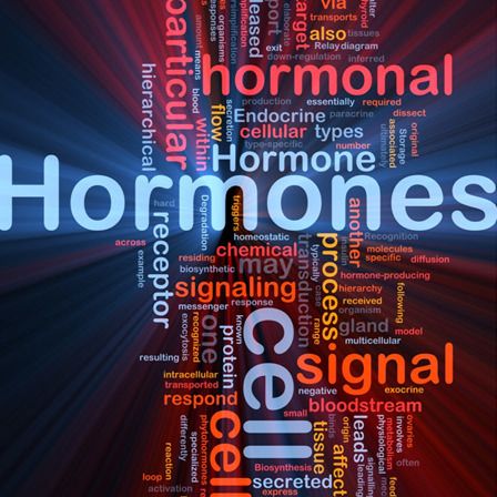 test de déséquilibre hormonal