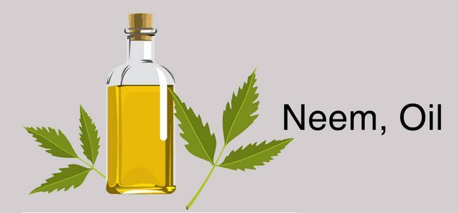 10 façons dans laquelle l'huile de neem peut réduire les pellicules Photo