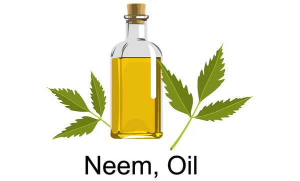 la croissance des cheveux de l'huile de neem