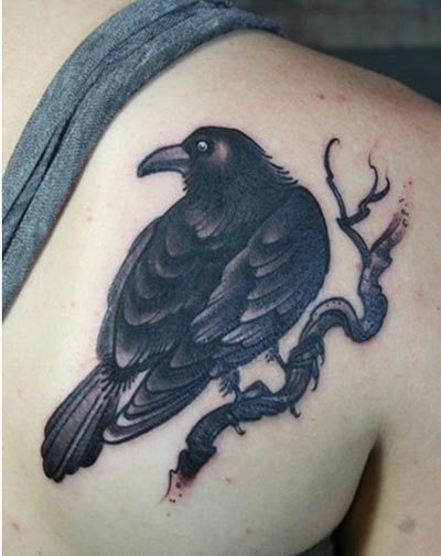 corbeau idées de tatouage
