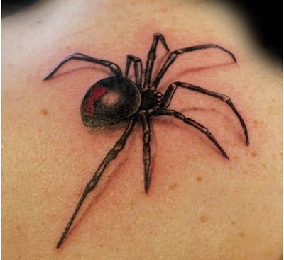 3d araignée tatouage