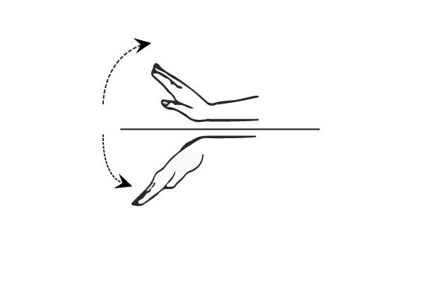l'extension du poignet et de flexion