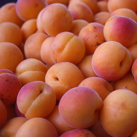abricots pour la santé