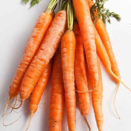 carottes avantages pour la santé