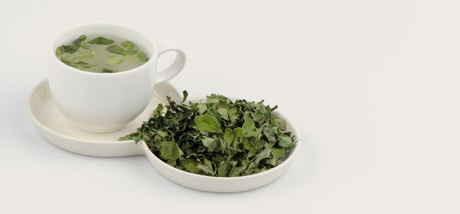 Moringa thé - comment préparer et quels sont ses avantages? Photo