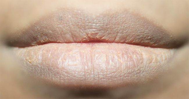 Comment faire Lips Nu Maquillage Tutorial