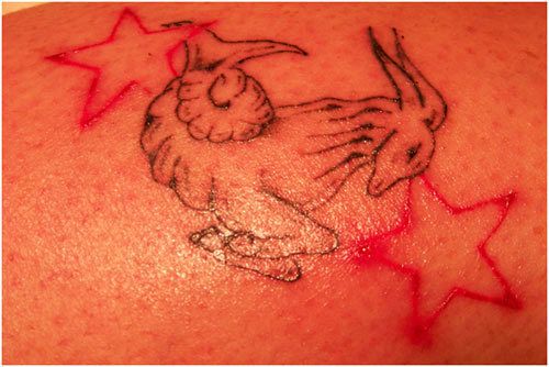 Capricorne et étoiles tatouage