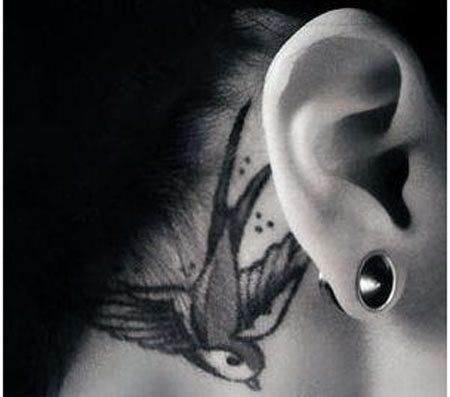 moineau oreille tatouage