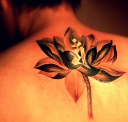 Retour Haut Lotus Tattoo