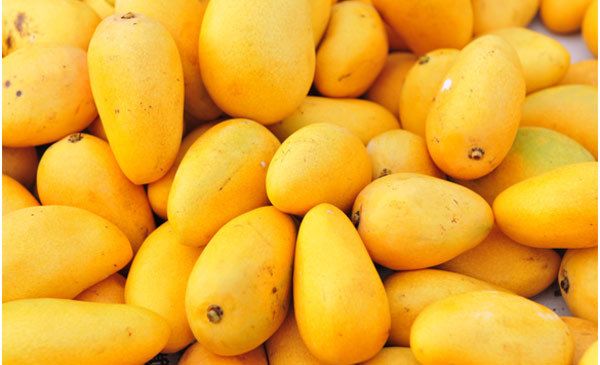 avantages de la peau de mangue