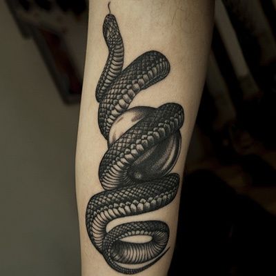 serpent tatouage avant-bras