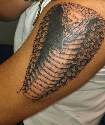 cobra tatouage