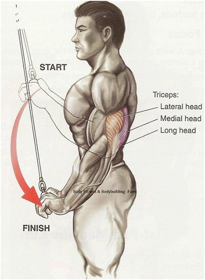 Avantages d'exercices triceps